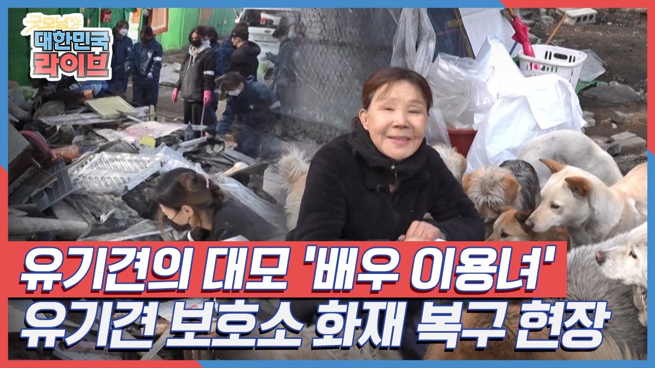 유기견의 대모 '배우 이용녀', 유기견 보호소 화재 복구 현장 KBS 210310 방송