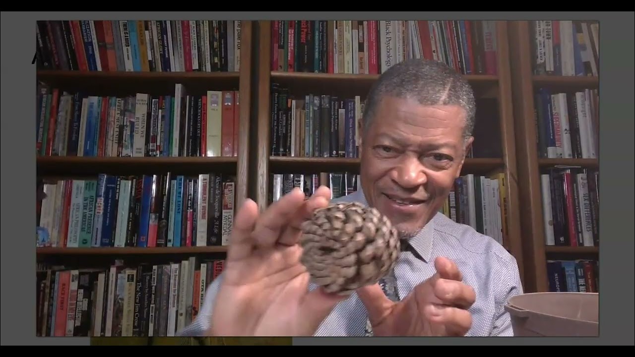 Pineal Gland Power: Neuromelanin and Ancient Wisdom