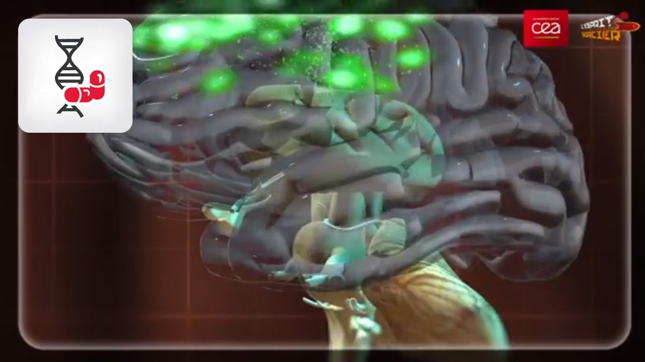 [Comment ça marche] Comment notre cerveau apprend-il à lire ?