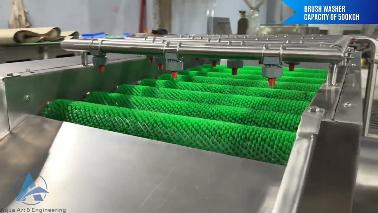 Brush Roller Washing Machine | Inline Brush Roller Washer | Vegetable Washer Machine | Fruit Washer