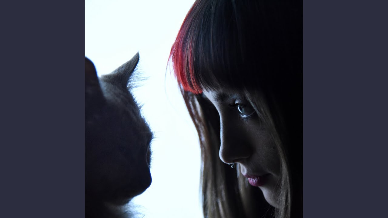 Спокойной ночи