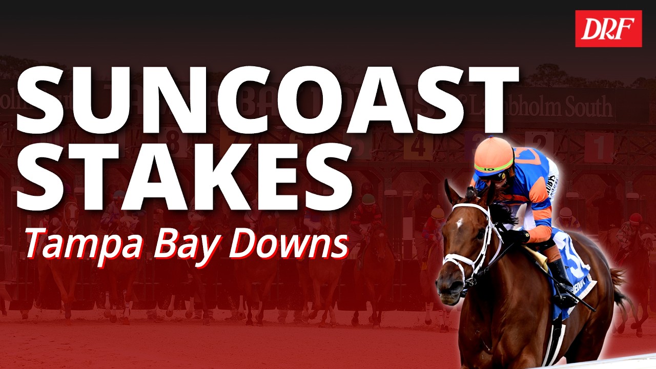 Предварительный обзор скачек Suncoast Stakes – дебют Зани в категории 3 года | 7 февраля 2026 г.