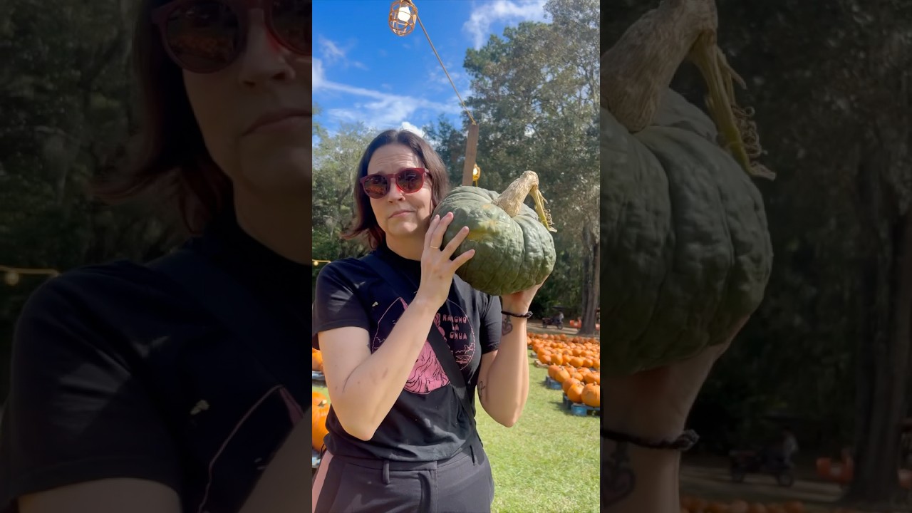Narrating People&rsquo;s Lives: The Saga Continues 🎃 #storytime #shorts #comedy