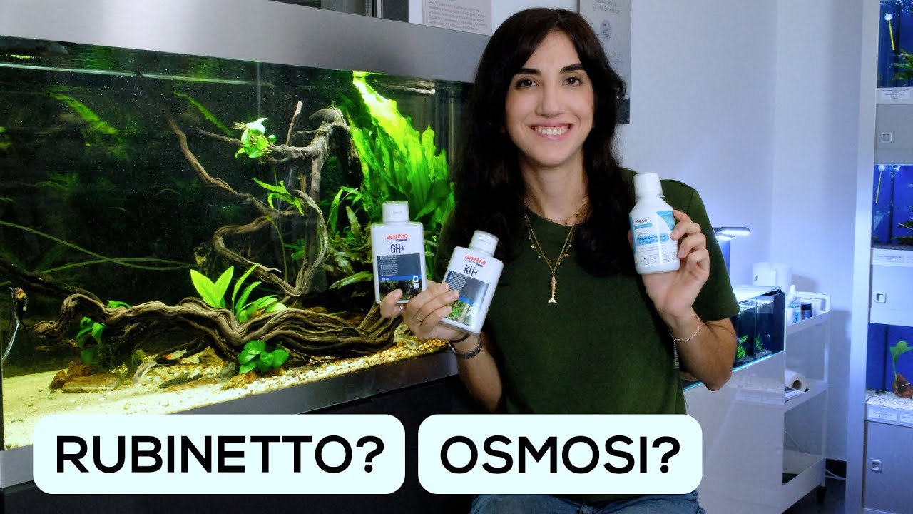 Quale ACQUA utilizzare in ACQUARIO?