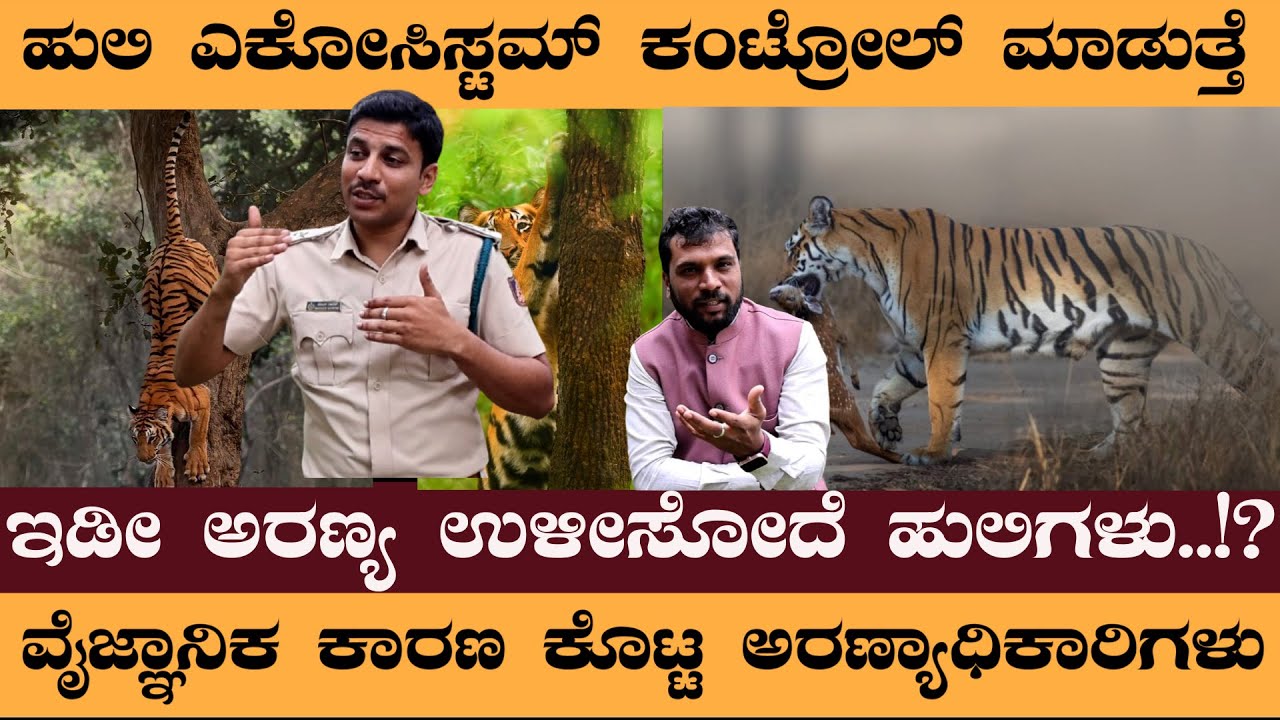 ಇಡೀ ಅರಣ್ಯ ಉಳೀಸೋದೆ ಹುಲಿಗಳು..!? ವೈಜ್ಞಾನಿಕ ಕಾರಣ ಕೊಟ್ಟ ಅರಣ್ಯಾಧಿಕಾರಿಗಳು #NaveenRawath #Tiger