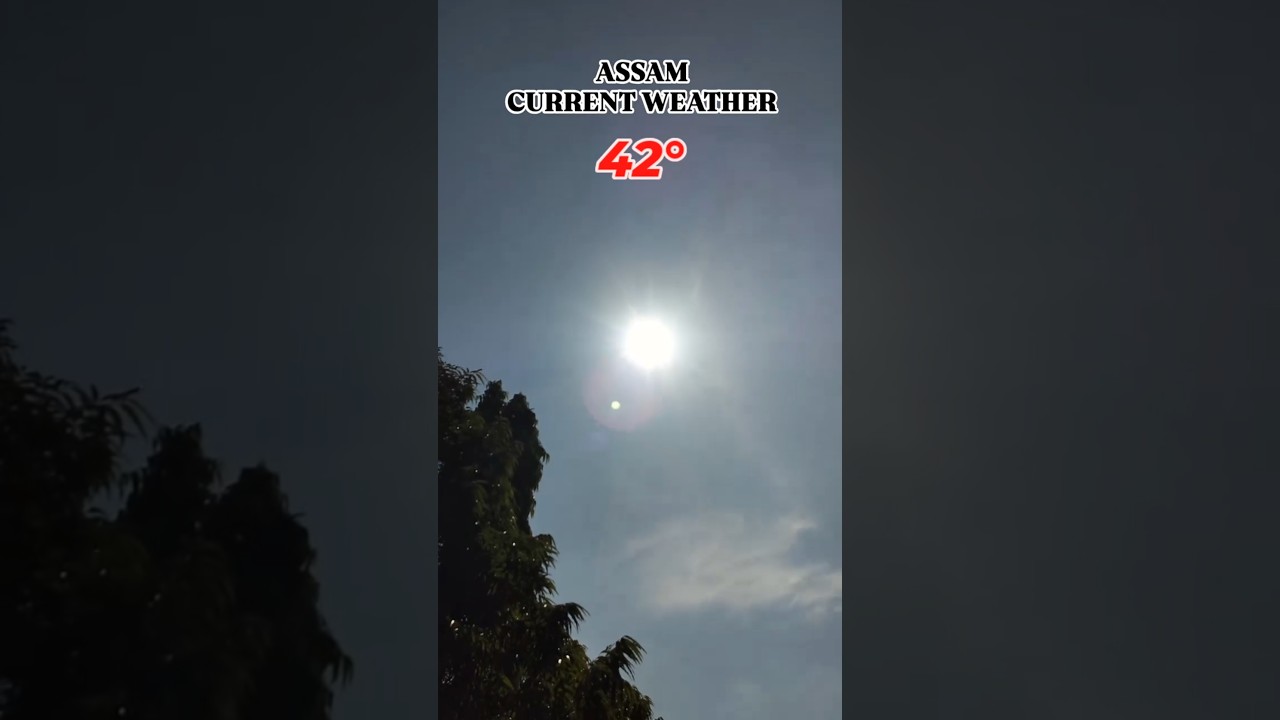 Assam Current Weather 42&deg;C 🔥🥵🤯#hotweather #weather #trending #shorts #short #shortsfeed #shortvideo