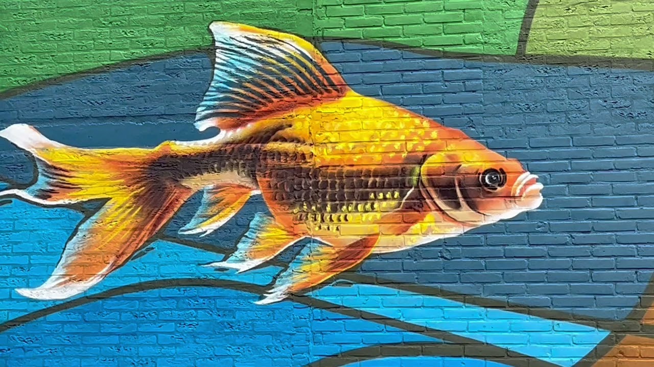 Kings of Colors - Recap Mural Kloosterkwartier