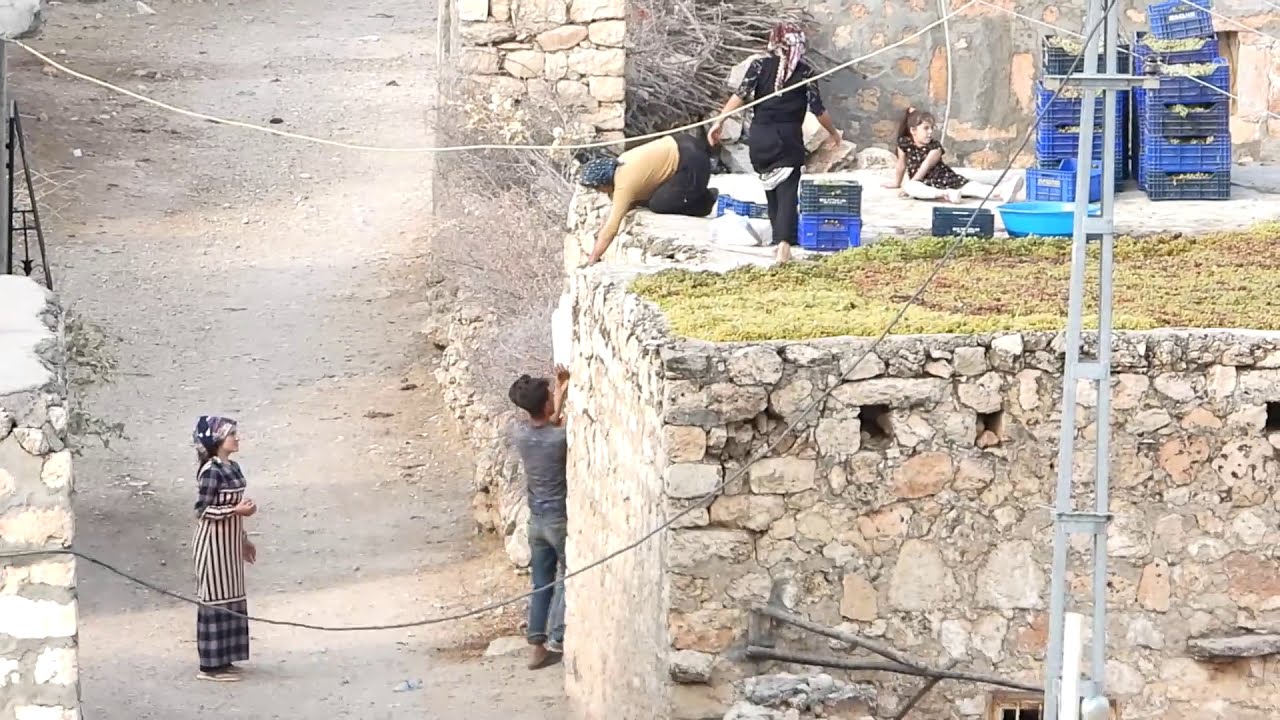 64-MARDİN/NUSAYBİN/CINATA KÖYÜ
