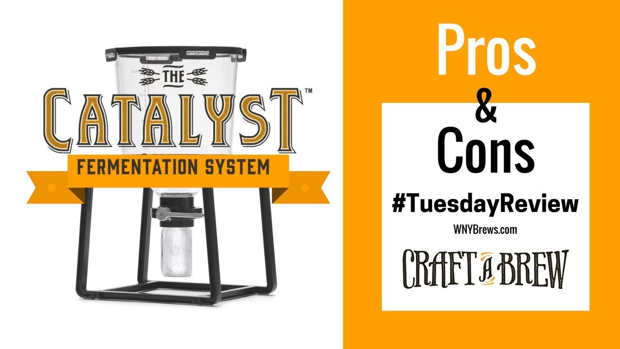 Catalyst Fermentation System Review