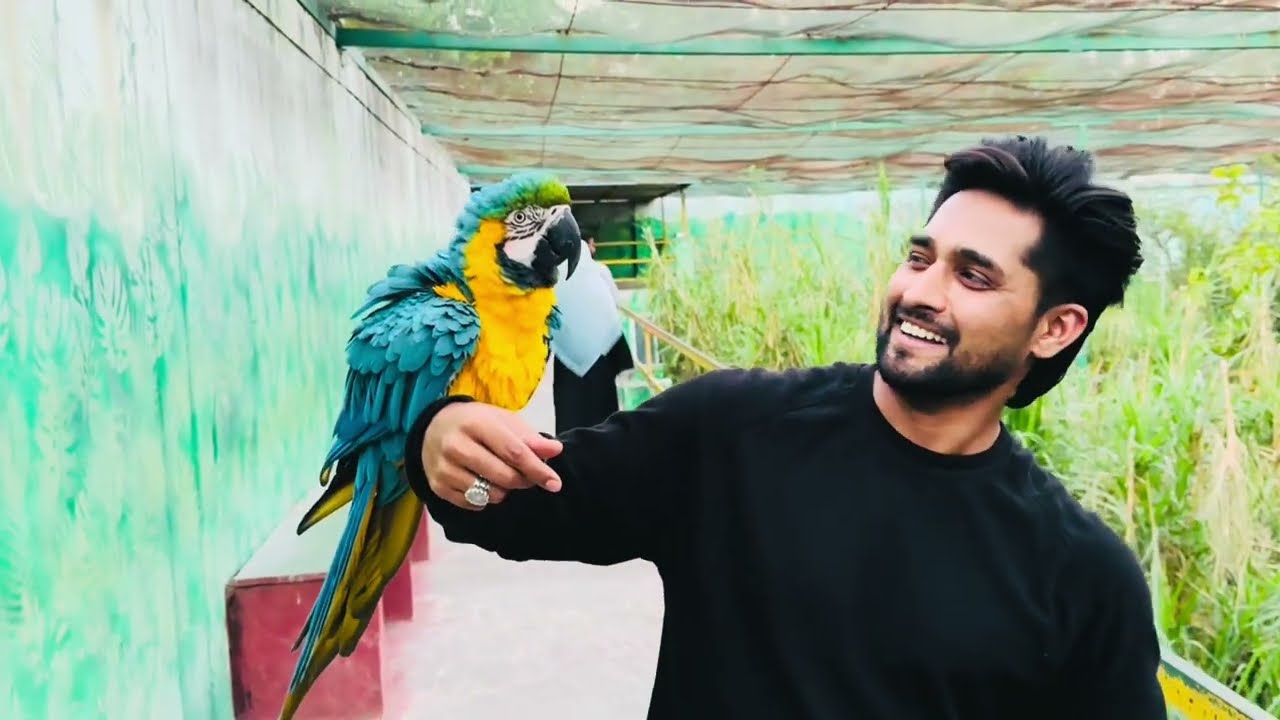#zooanimals #indorezoo