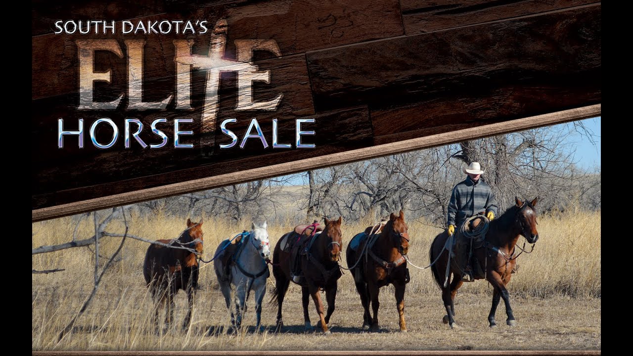 South Dakota's Elite Horse Sale Promo #1