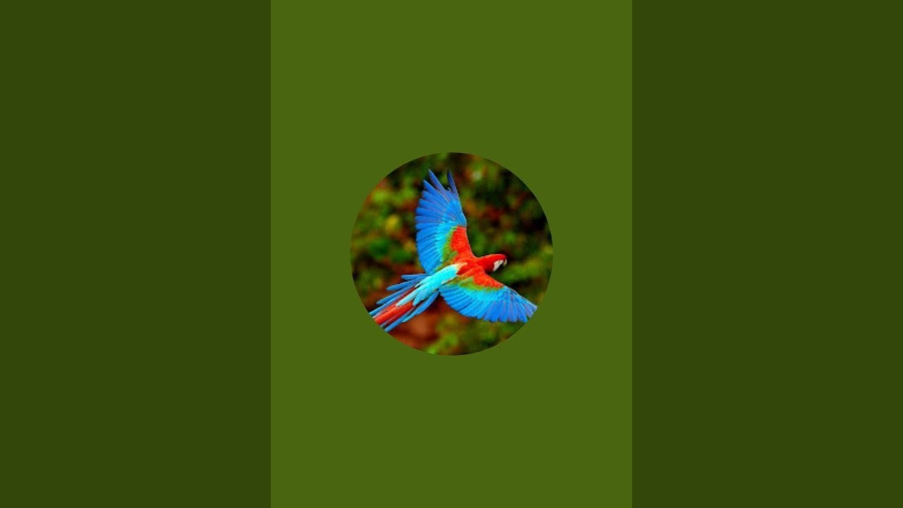 Raw Art is live