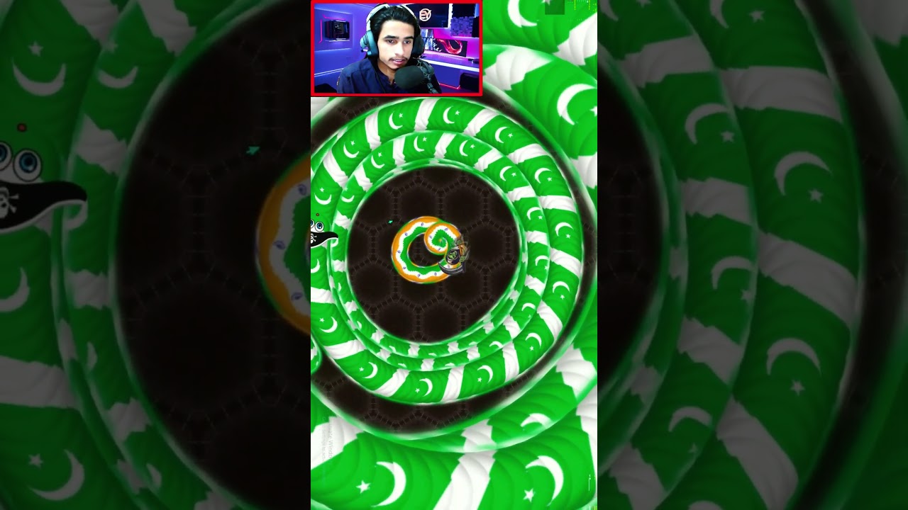 2 Giant Pakistani Vs Tiny Indian in Wormzilla.io | Ali Gaming | #shorts