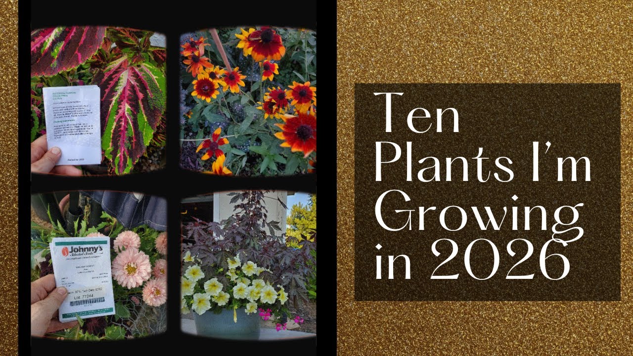 Top Ten Plants I Am Growing In 2026