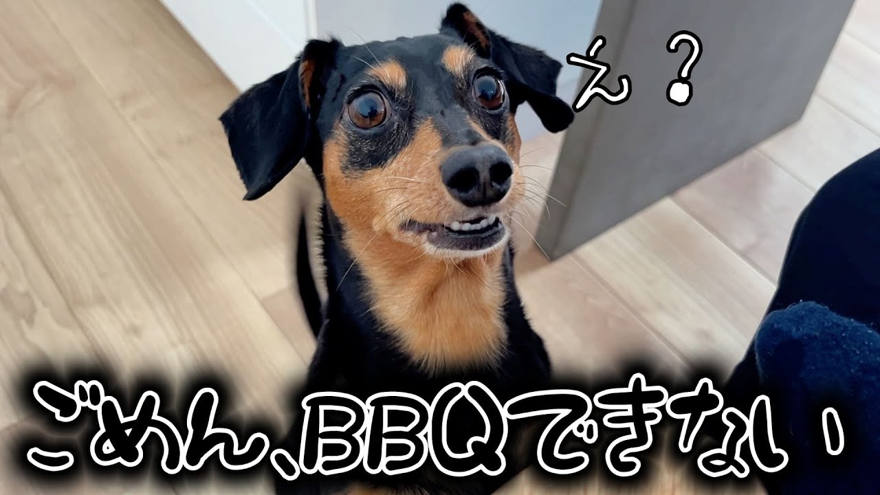 楽しみにしていたBBQの日、予想外のことが起きました