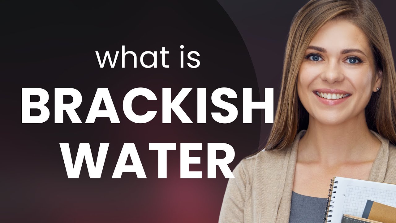 Understanding Brackish Water: A Guide for English Learners