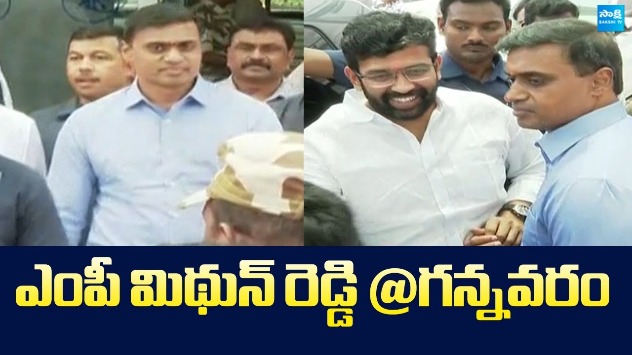 MP Mithun Reddy Latest Visuals At Gannavaram Airport |