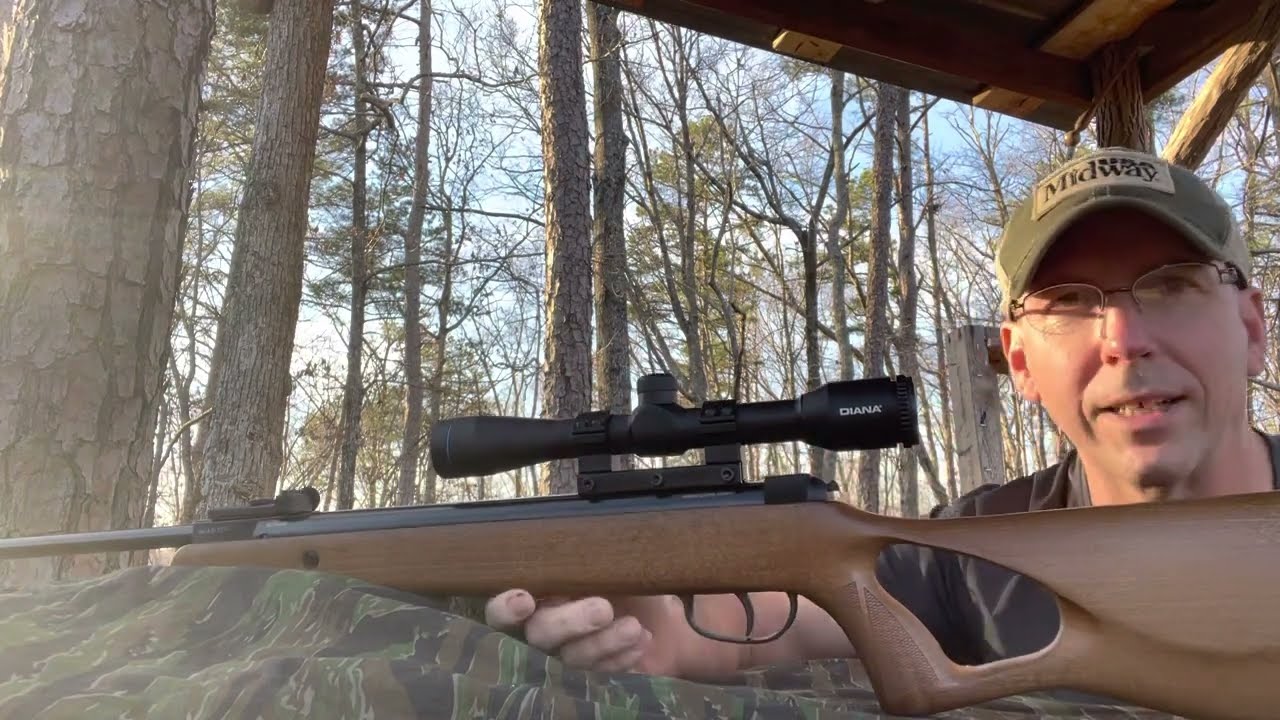 Shooting the Diana 250 in .177 caliber