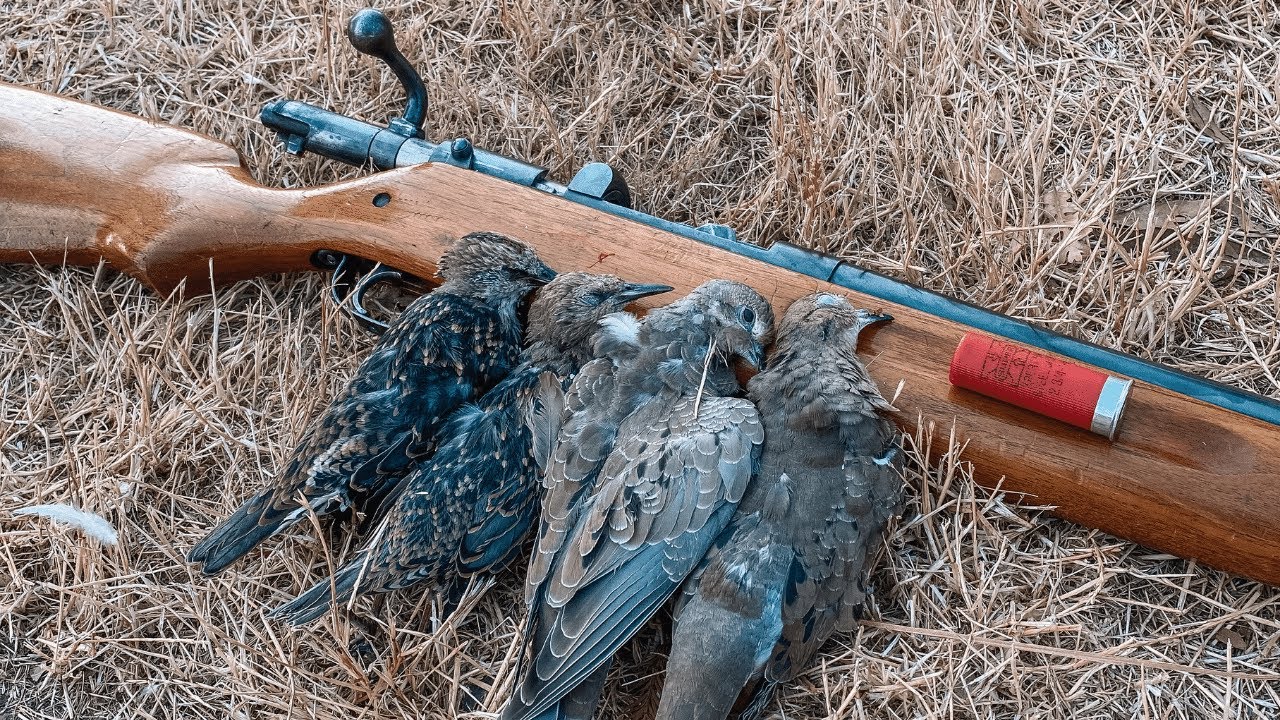 BOLT ACTION Shotgun Challenge! (OLD GUN)