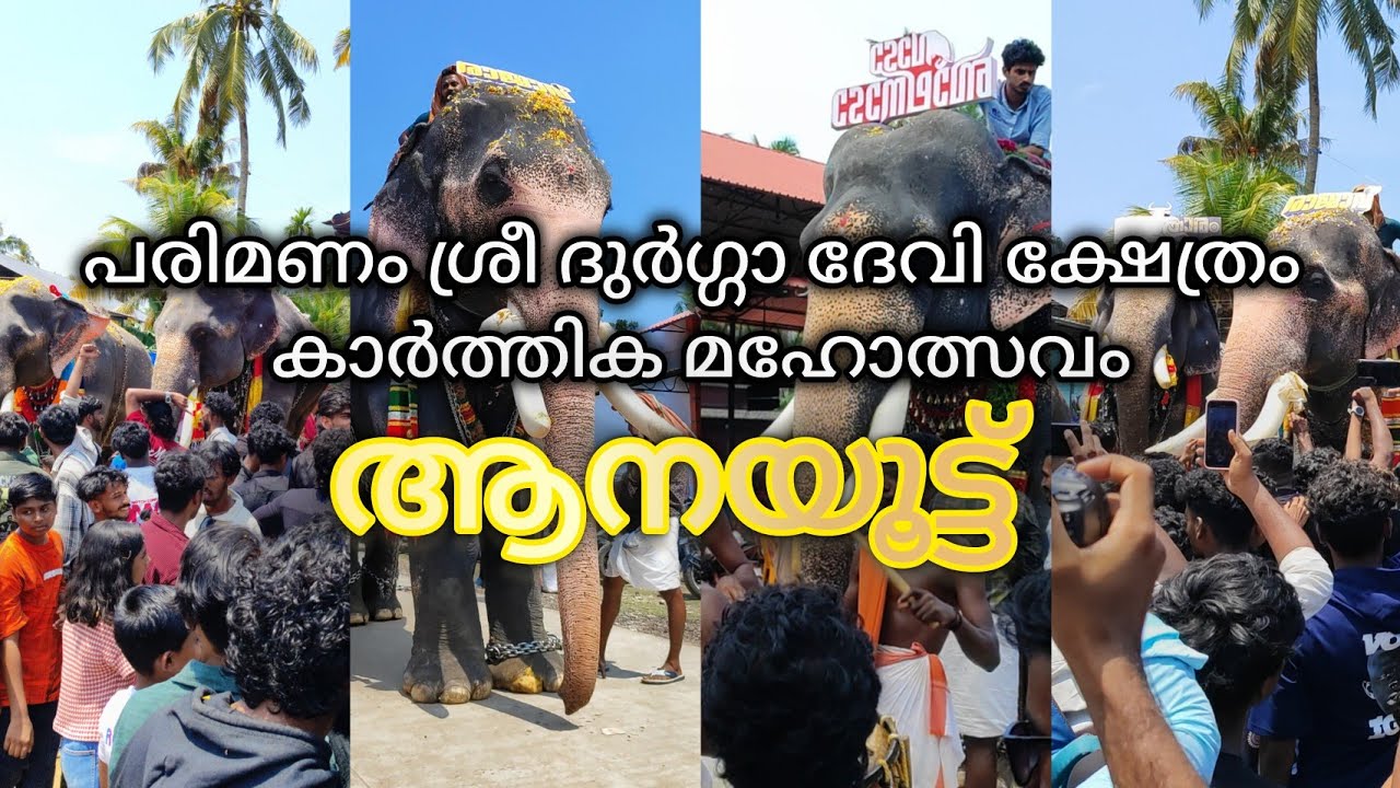 പരിമണം ശ്രീ ദുർഗ്ഗാ ദേവി ക്ഷേത്രം / Parimanam Sree Durga Devi Temple #parimanam #durgadevi #kollam