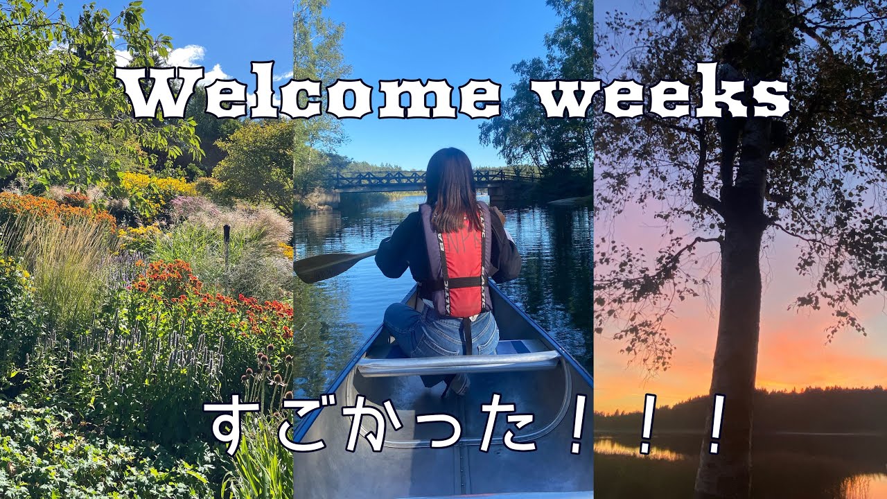 【交換留学】ヨーテボリ大学商経済法学部のWelcome Weeksが凄かった…
