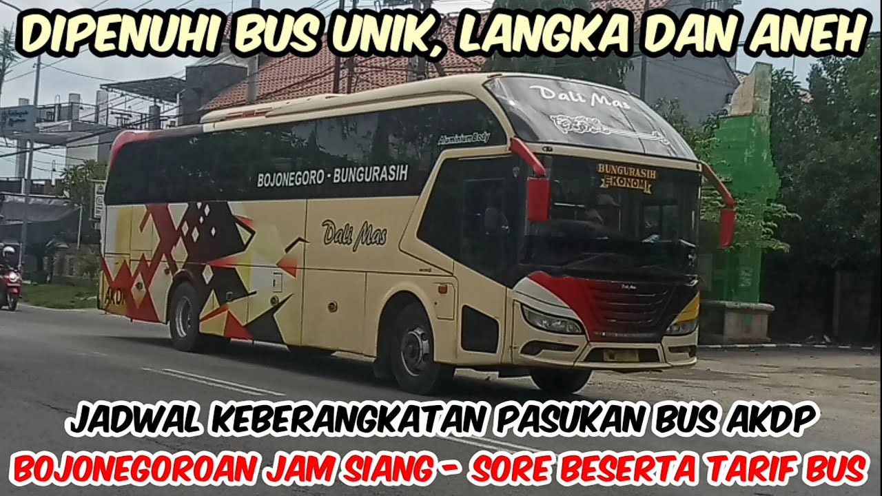 PENUH BUS UNIK, LANGKA & ANEH !! JADWAL KEBERANGKATAN BUS AKDP BOJONEGOROAN BESERTA TARIF BUS
