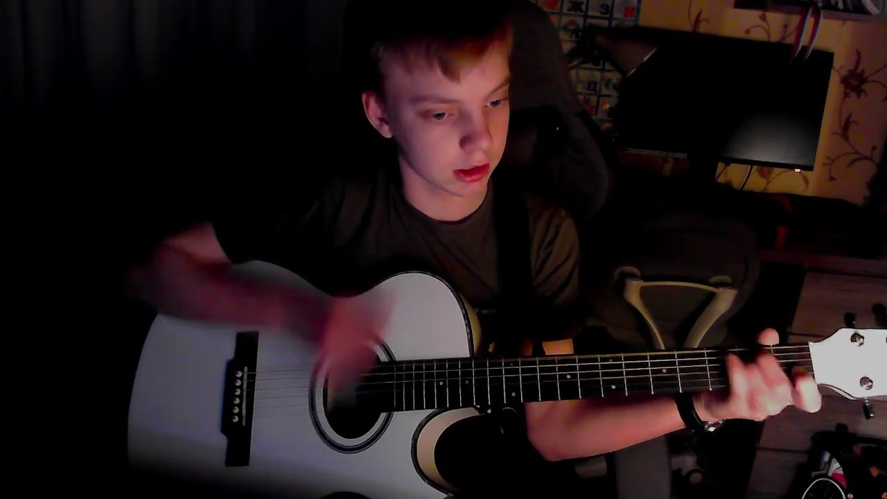 "Спокойная ночь" Washburn EA40 cover 