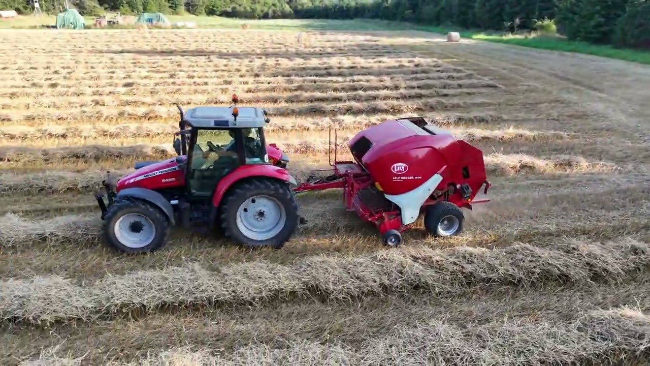STROH PRESSEN #MASSEY FERGUSON 5435 #LELY WELGER RP 245 #DJI Mini 4 Pro