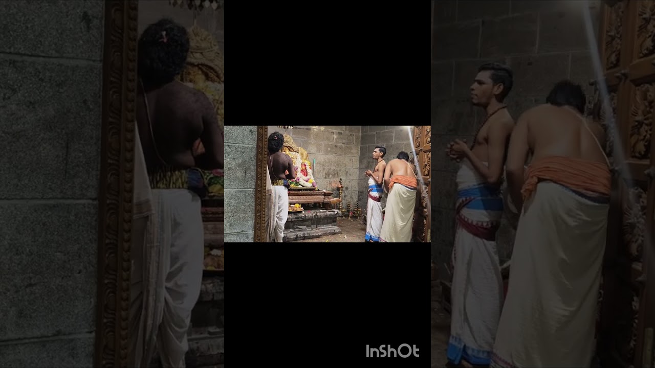 வடபழனி ஆண்டவர் திருக்கோவில் திருக்கல்யாண தரிசனம்