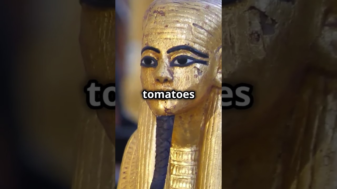 5 Crazy History Facts They Won't Teach You in School! 🏫📕🌎#historyfacts #napoleonmyth #cleopatra