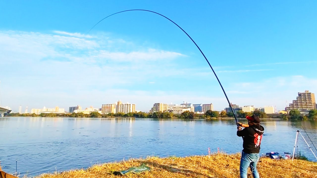 【長すぎやろこの竿…】 Amazonで最長だった延べ竿でカープフィッシング【DRESS fishing videos】