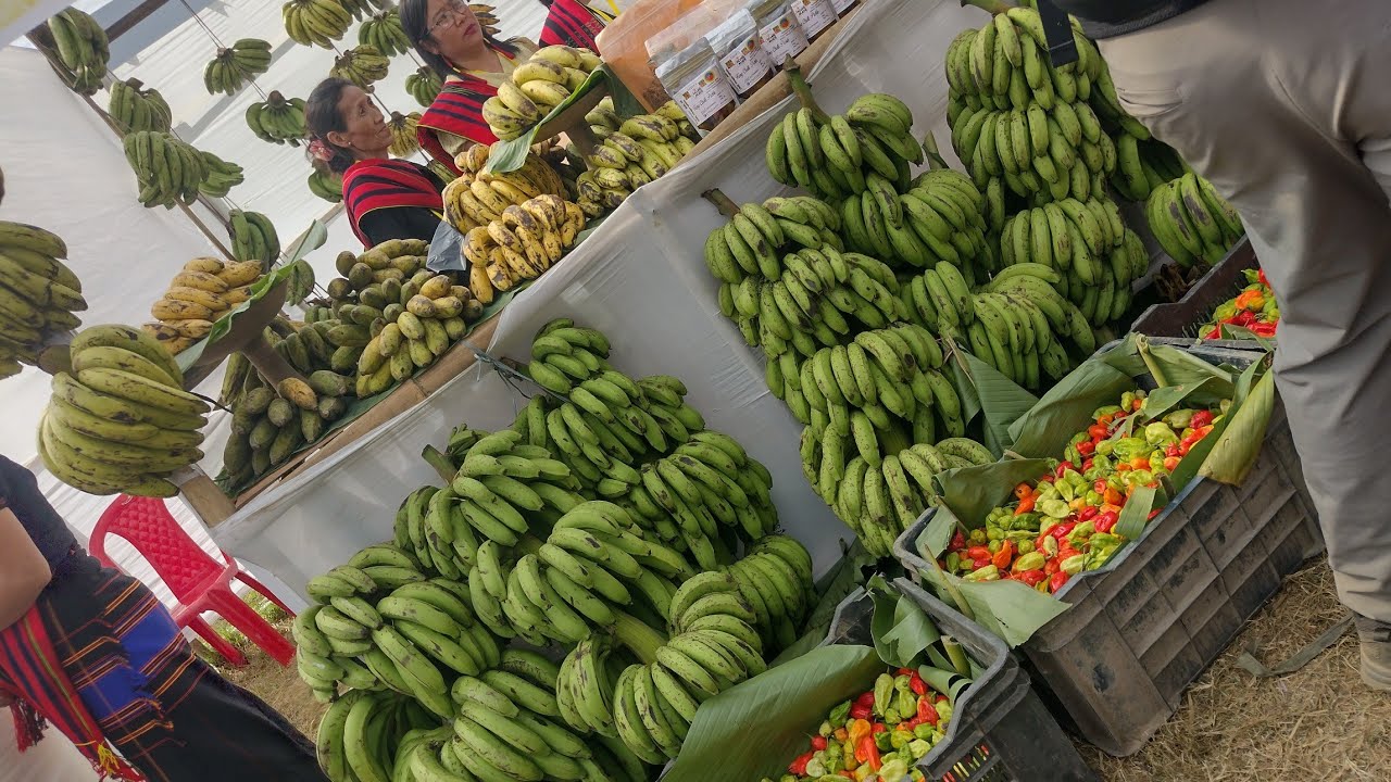 Nagaland's First-Ever Banana Festival @Wokha 
