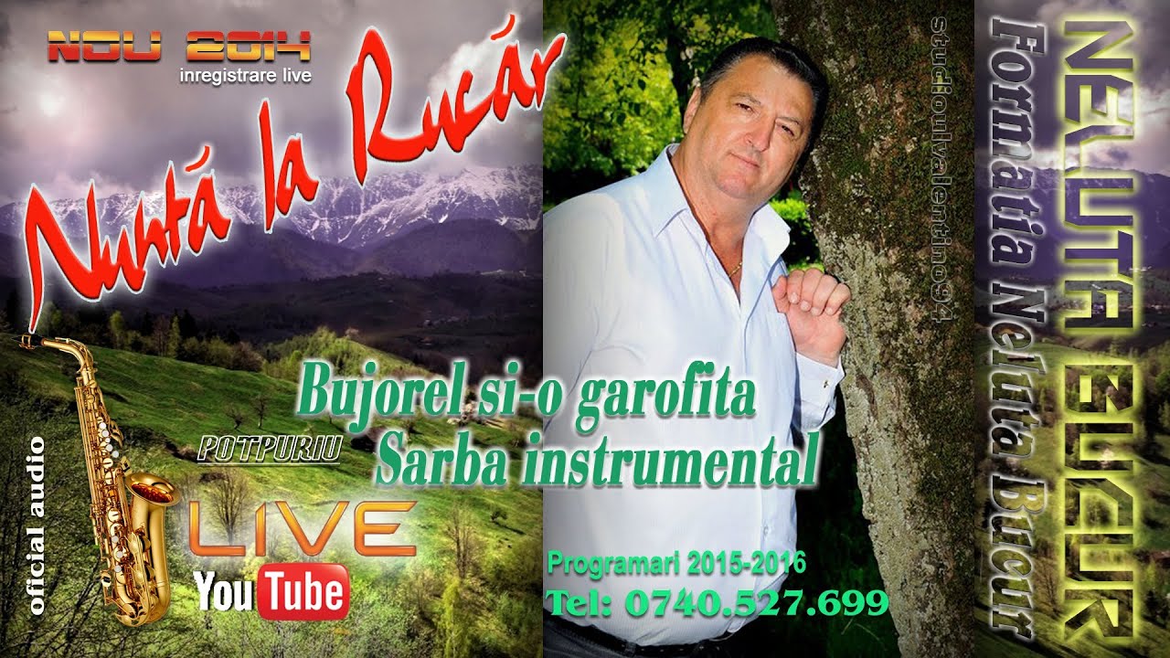NELUTA BUCUR . Bujorel si-o garofita - Sarba instrumental (live 2014)