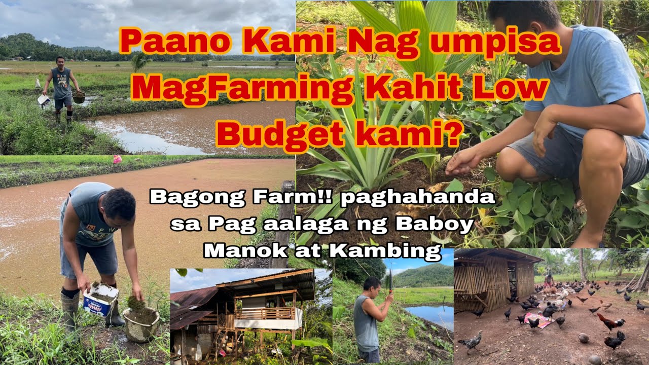 Paano Umpisahan MagFarming ng Di Malaki Ang Gastos | NagDevelope na din 1.5 Hectares na Bagong Lupa