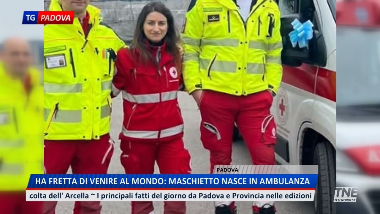 TNE PADOVA TG | 24/02/2026