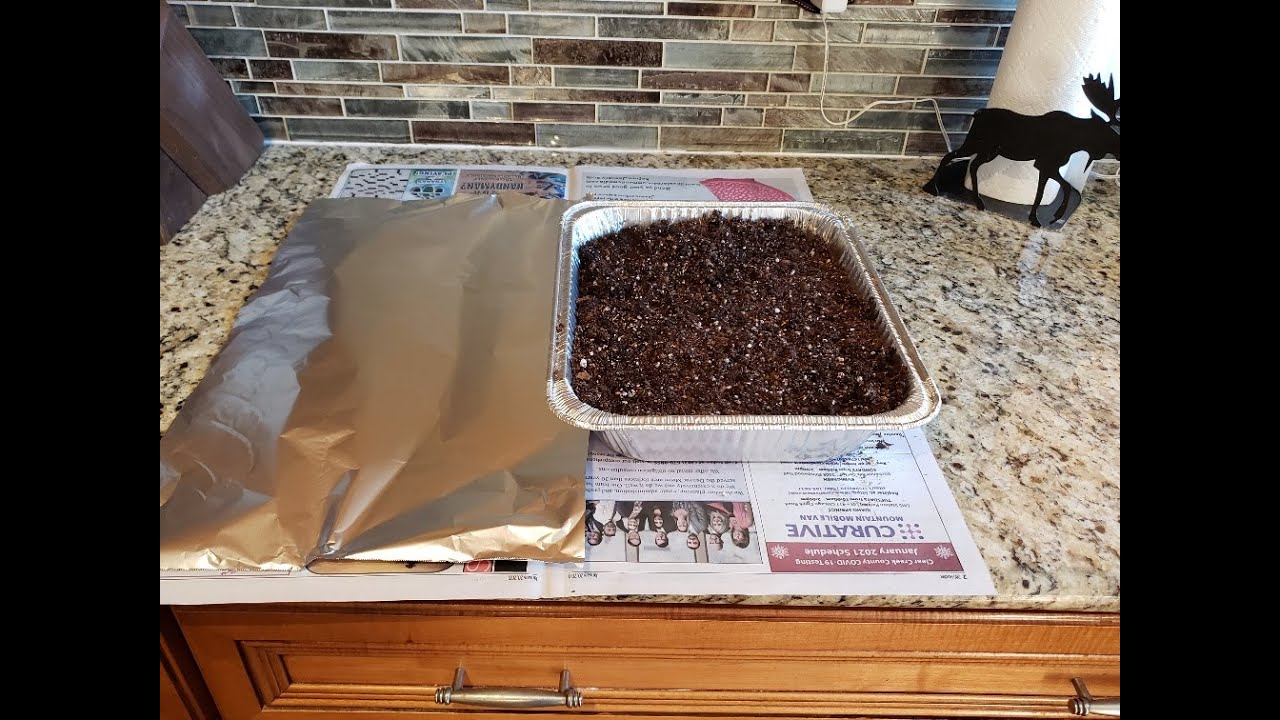 Sterilizing soil in the oven