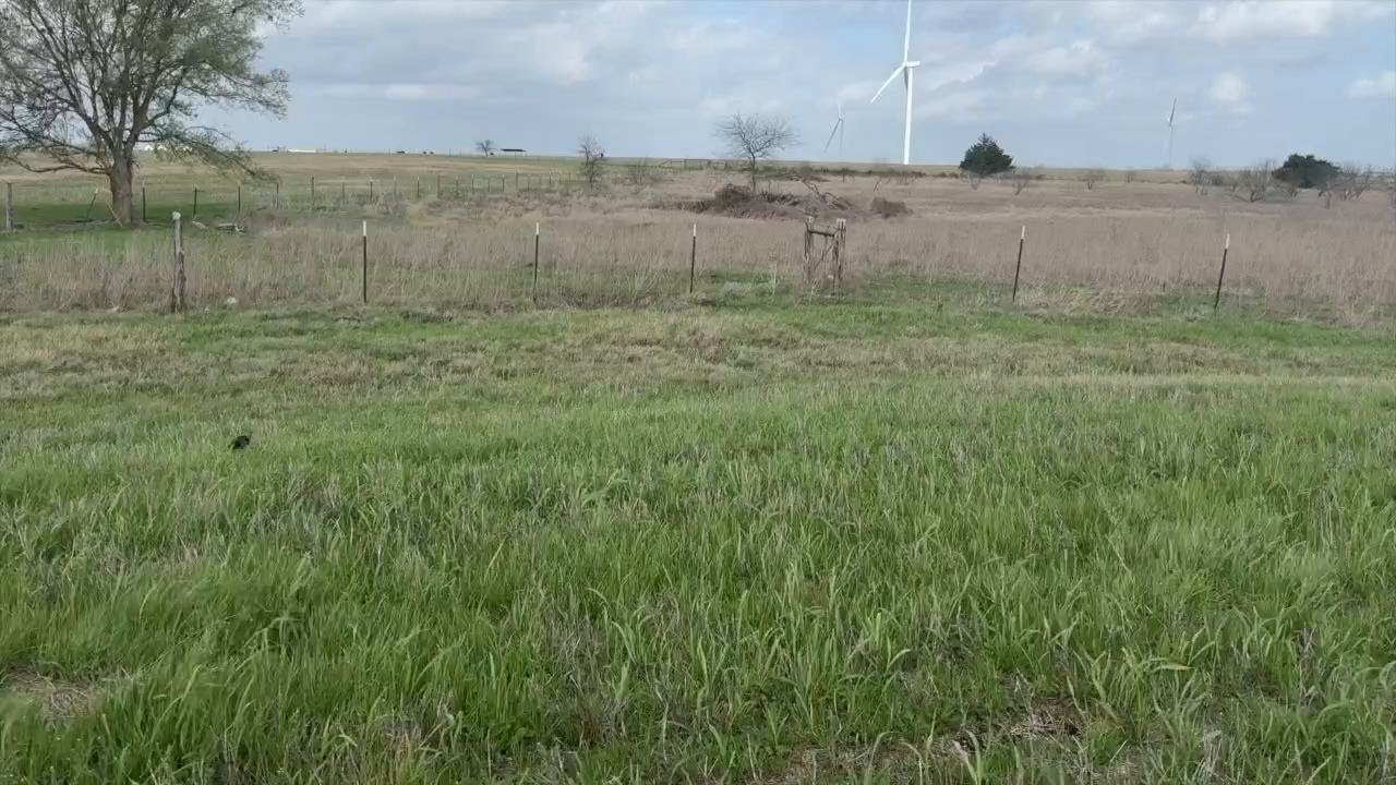 Wind farm in Mart begins turbine replacement, and new energy  to the area