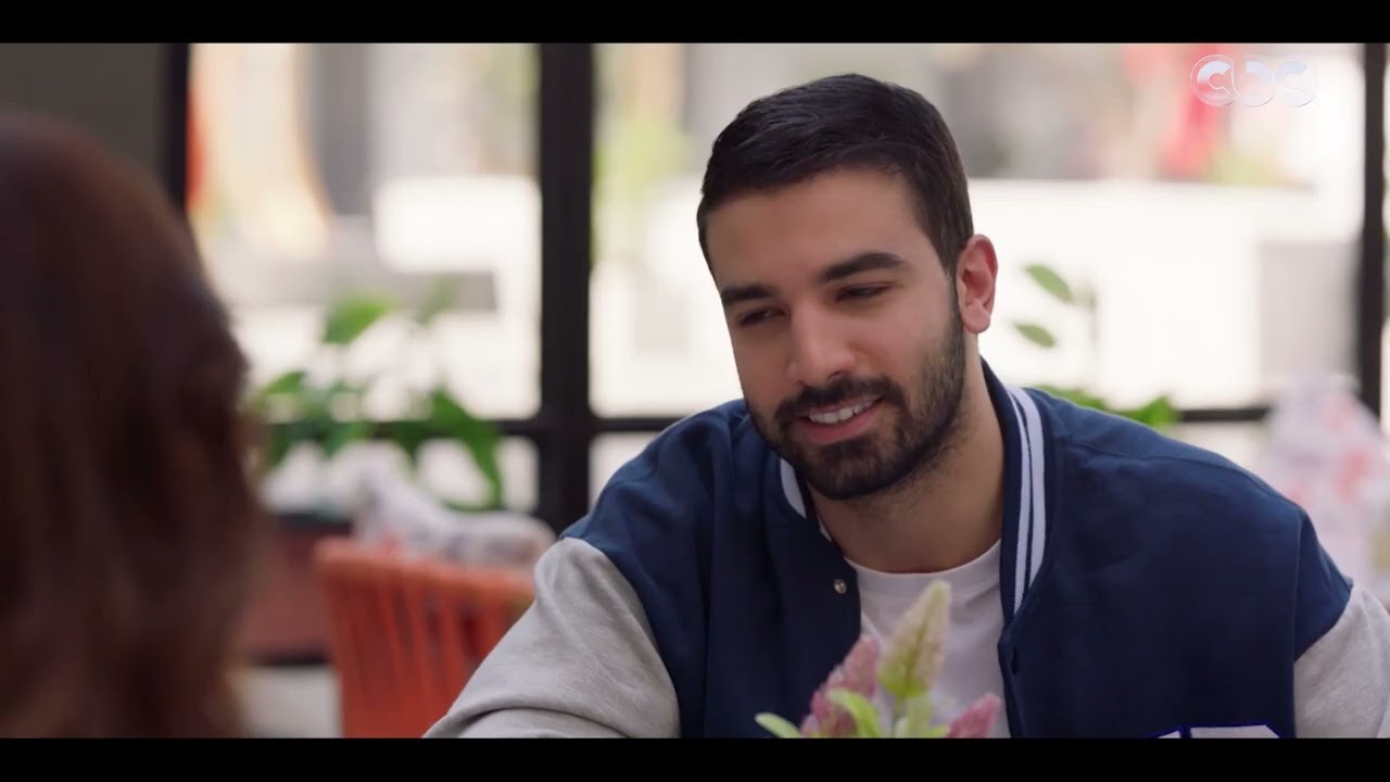 مسلسل مذكرات زوج|