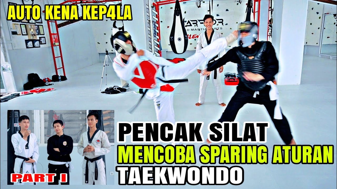 Pesilat Sparing Aturan Taekwondo, Begini jadinya?