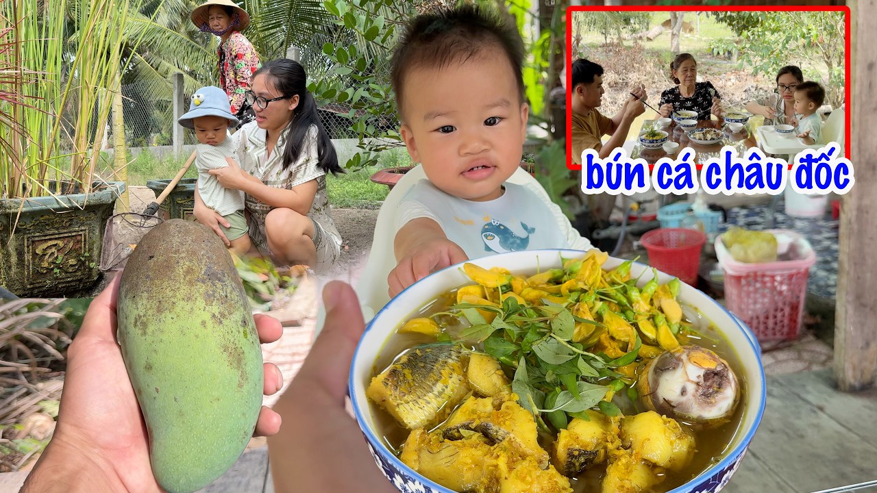 Cuộc Sống Miền Tây: Hái Xoài Ngoài Vườn – Nấu Nồi Bún Cá Châu Đốc Cả Nhà Đều Mê