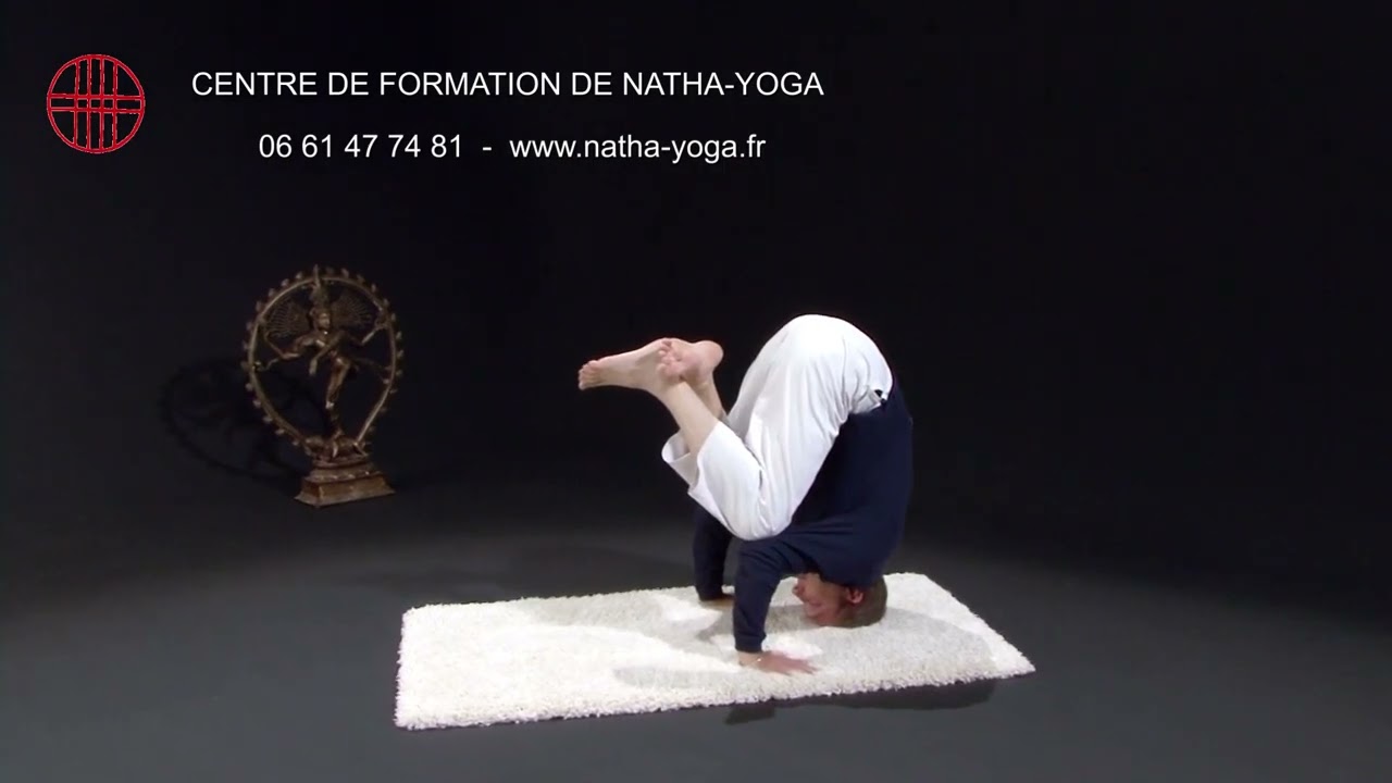 Basiques du yoga : kakasana débutant (posture du corbeau) selon le Natha Yoga