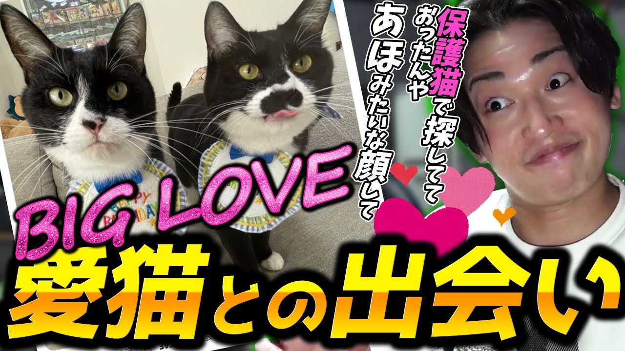 Geroの愛猫うどんとさぬきとの出会い【Gero/切り抜き/2023/02/20】