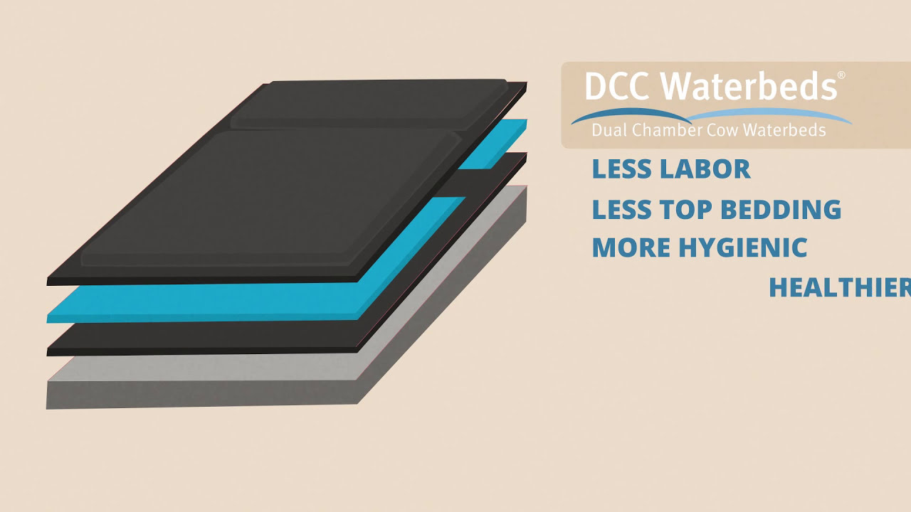 How do cow waterbeds work? || DCC Waterbeds