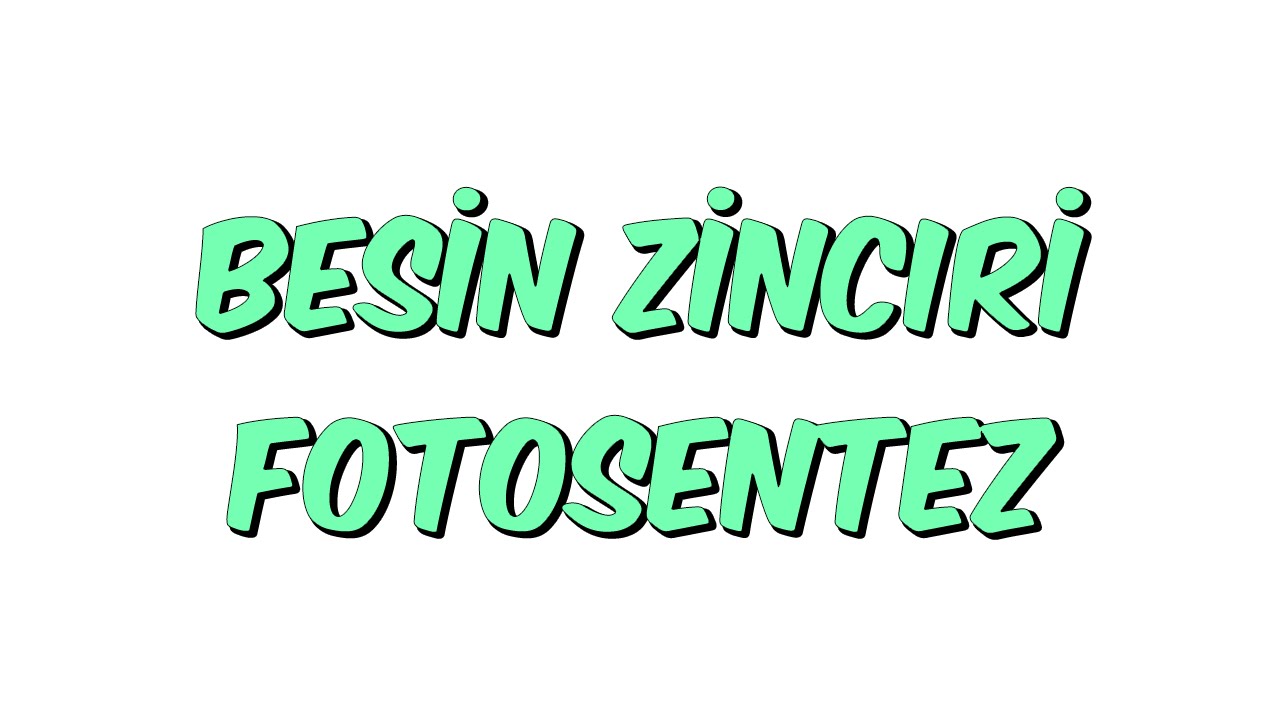 BESİN ZİNCİRİ FOTOSENTEZ