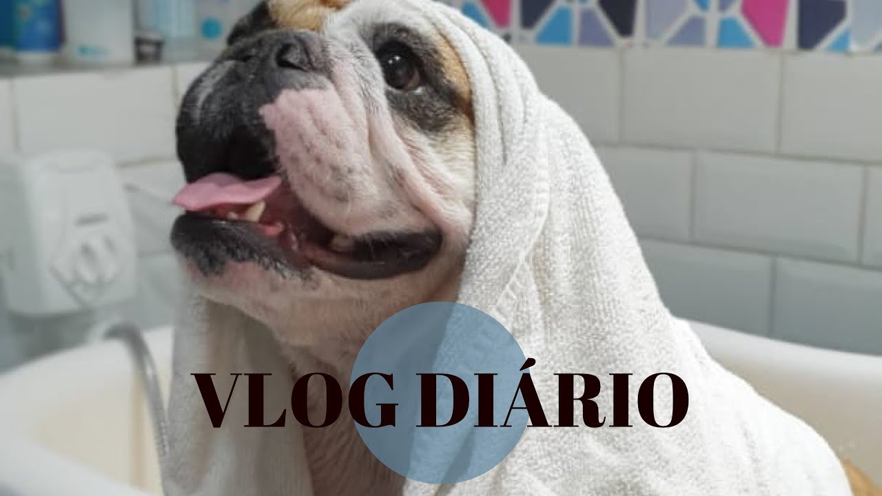 DAILY VLOG: Dia de Banho