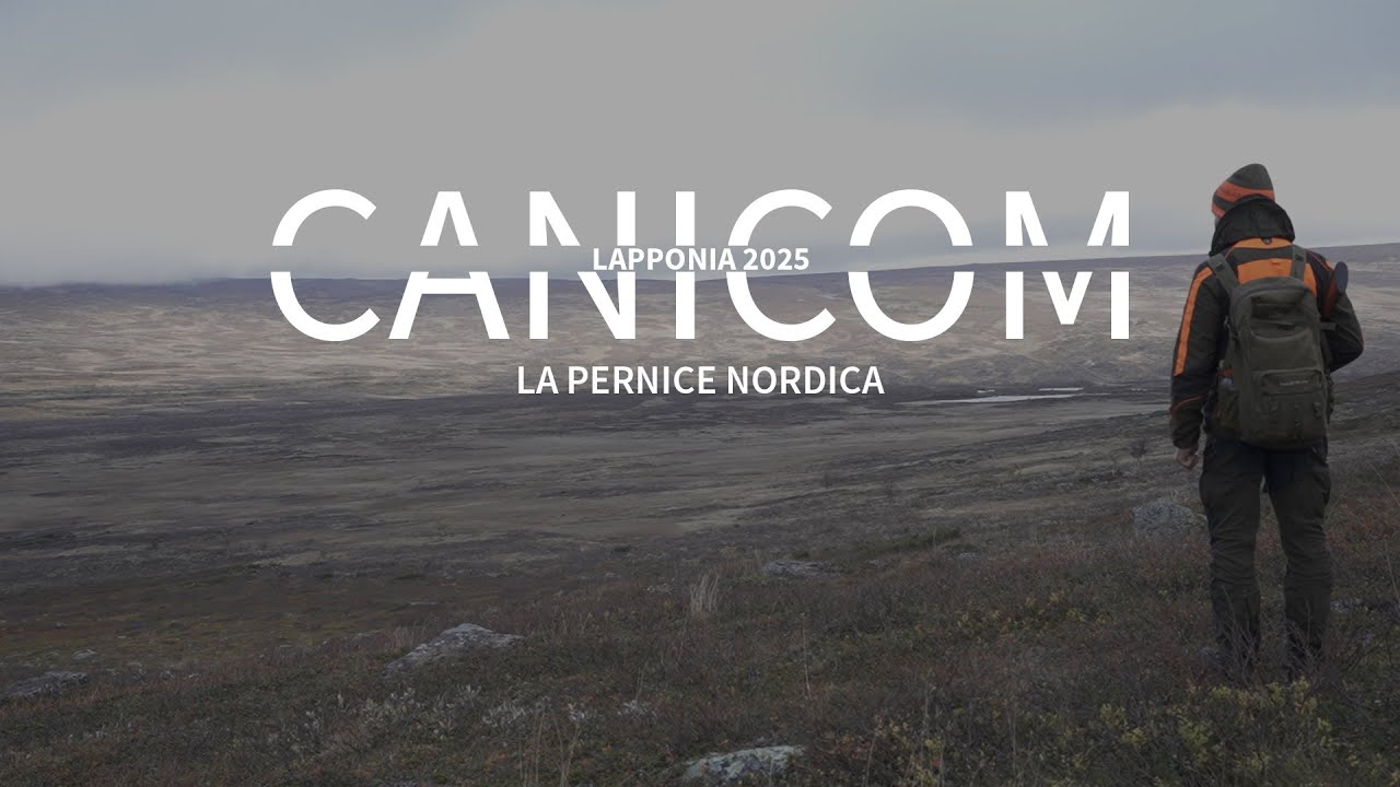 HUNTING WITH CANICOM | Lapponia 2025 | La Pernice Nordica