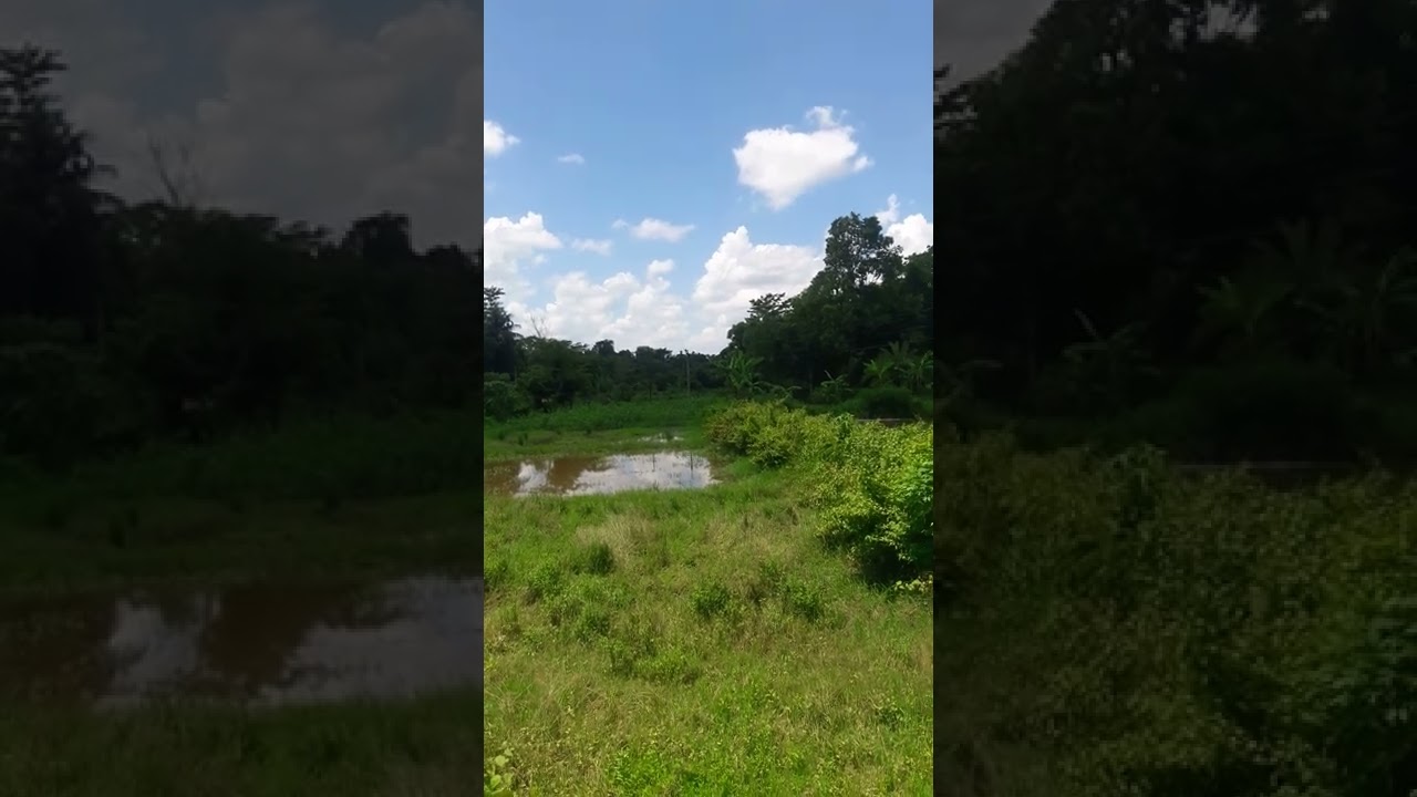 beautiful  small river beautiful places