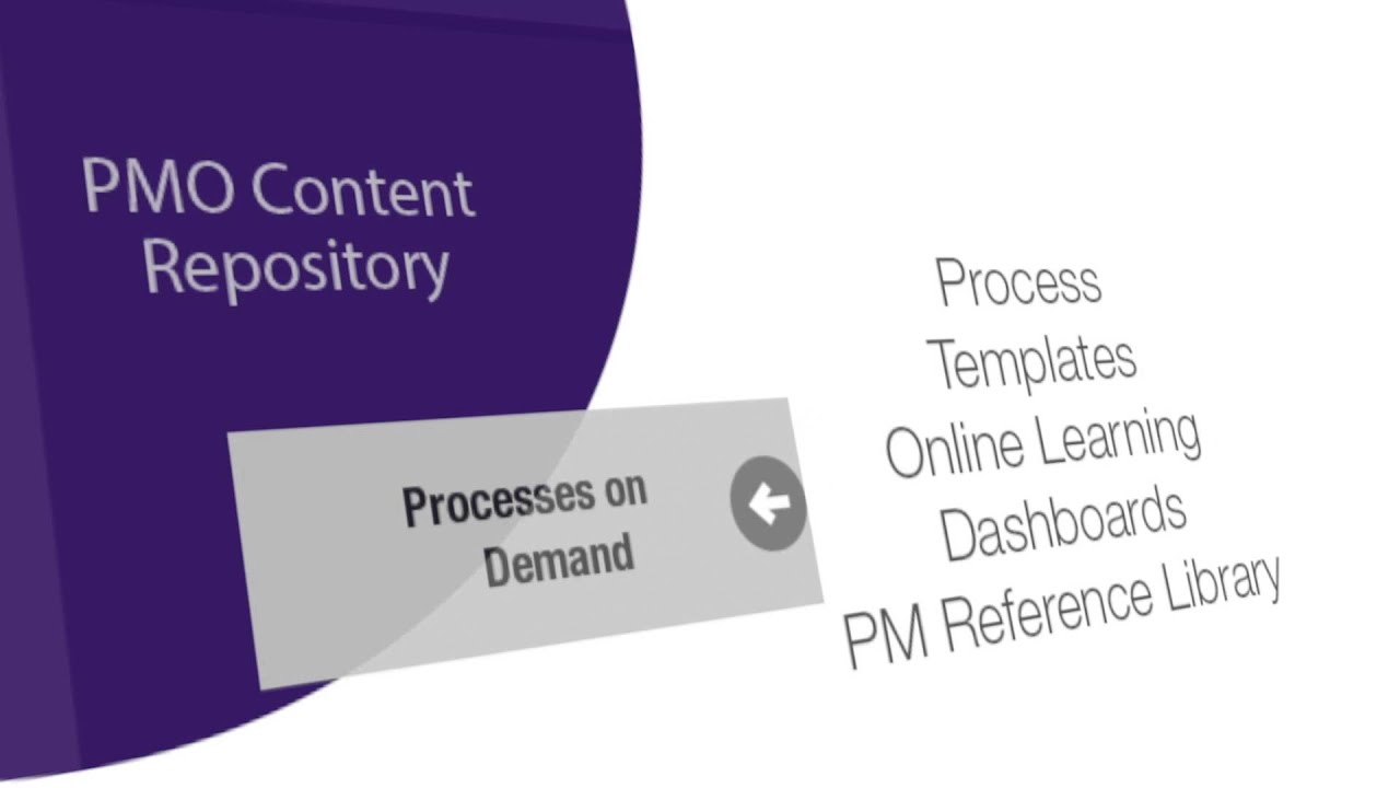 Processes On Demand&trade; The Best PMO Software Ever