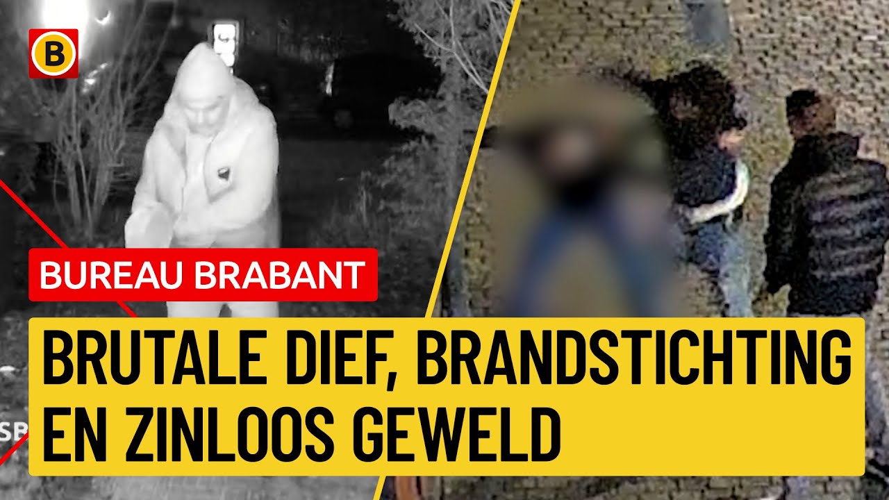 Zware mishandeling en brandstichter voordeur op beeld  | Bureau Brabant
