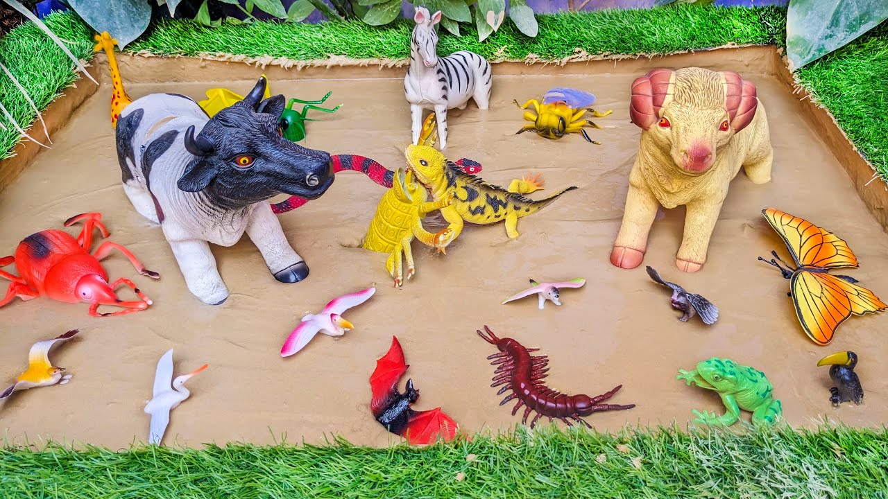 Mud Rescue Madness:💦 Farm Animals and Insects Stuck in the Sandbox Adventure